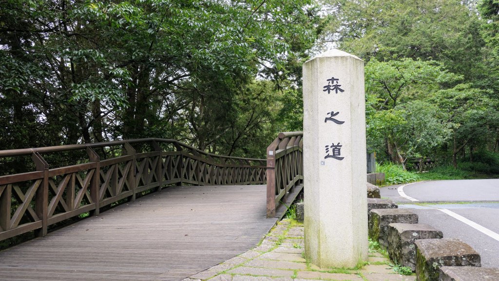 阿里山森遊區-神木步道_2536752