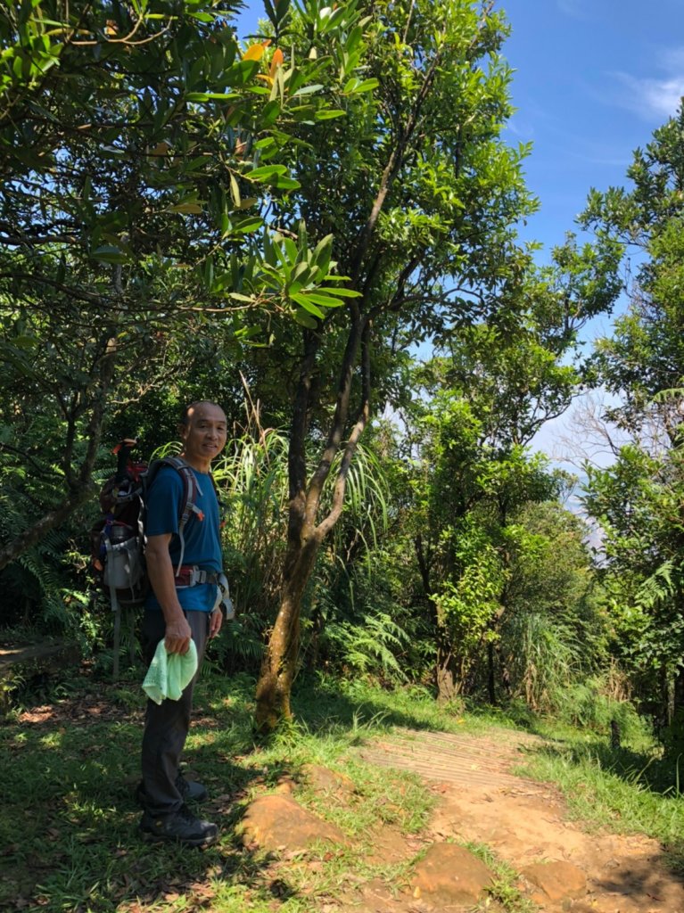 汐止小百岳｜大尖山、四分尾山縱走_1026816