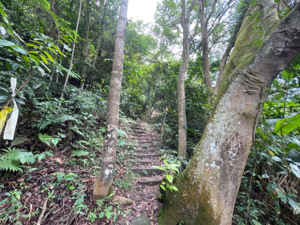 赤柯山連走三峰_2227074