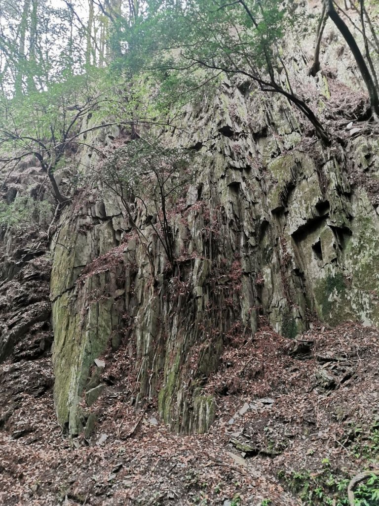 南三段縱走-百里長征在雲端-丹大東郡橫斷_909413