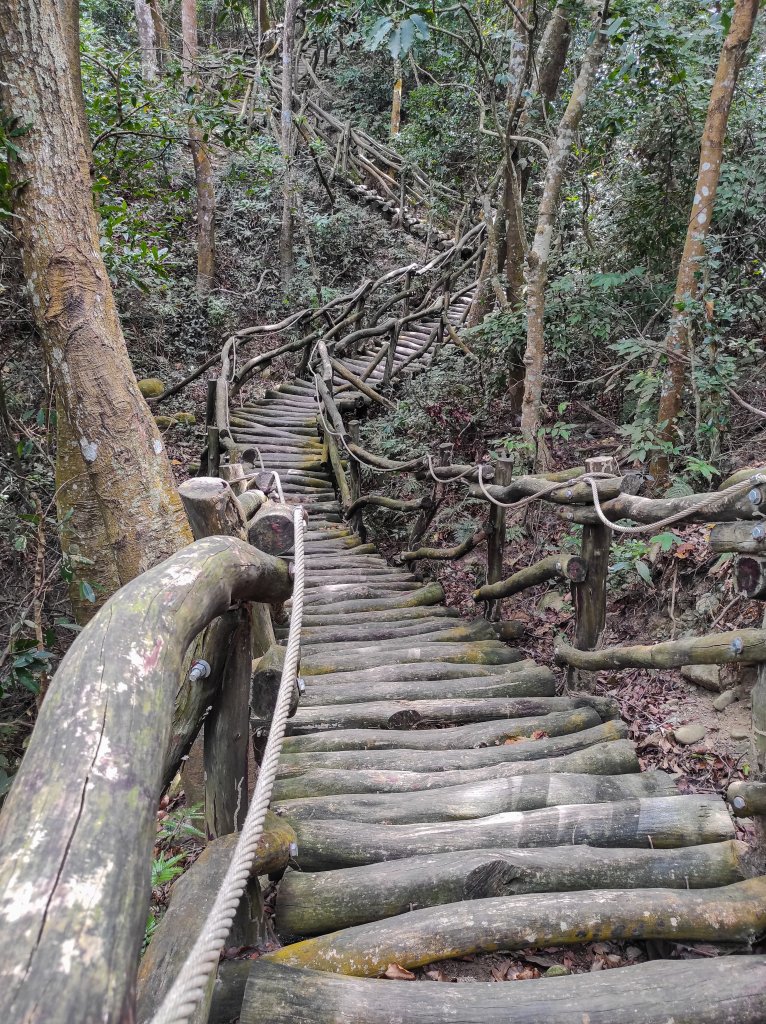 大坑1.5.2號登山步道_1879737