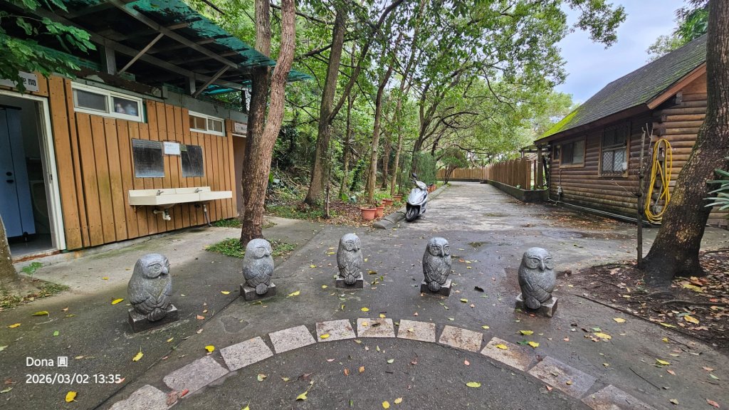 20260302忠義山.小坪頂山.貴子坑山大O走_3009937