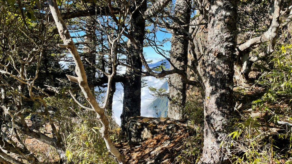 南投｜信義 玉山．玉山西峰_1743276