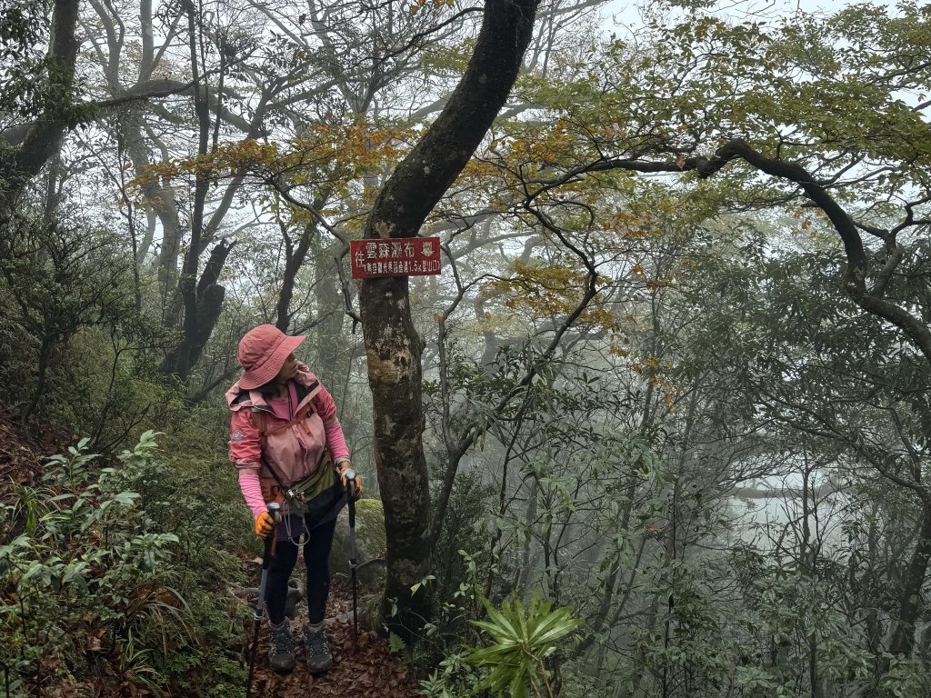 山毛櫸掉光光的 卡保逐鹿O繞 20251115_2937459