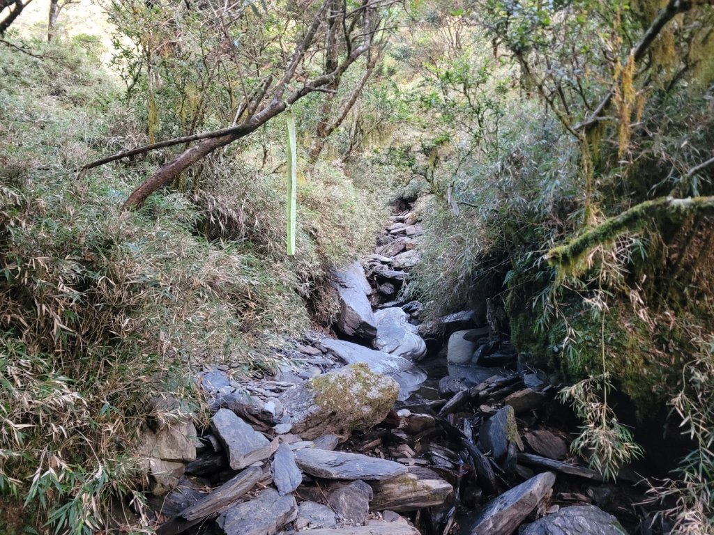 20231103 南一段四天_2355856