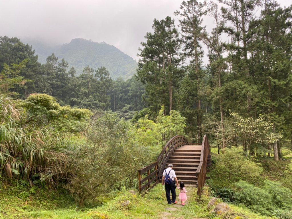 20191109貓仔們之溪頭森林步道探索_757164