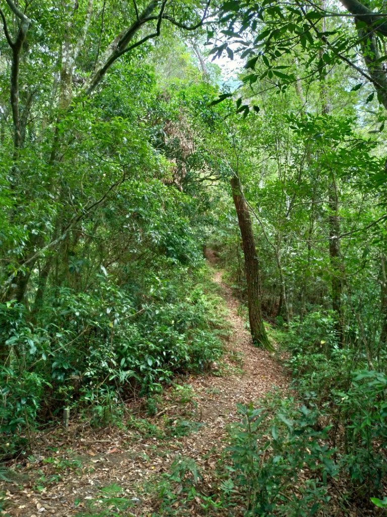 玉穗山 南橫公路_1072831