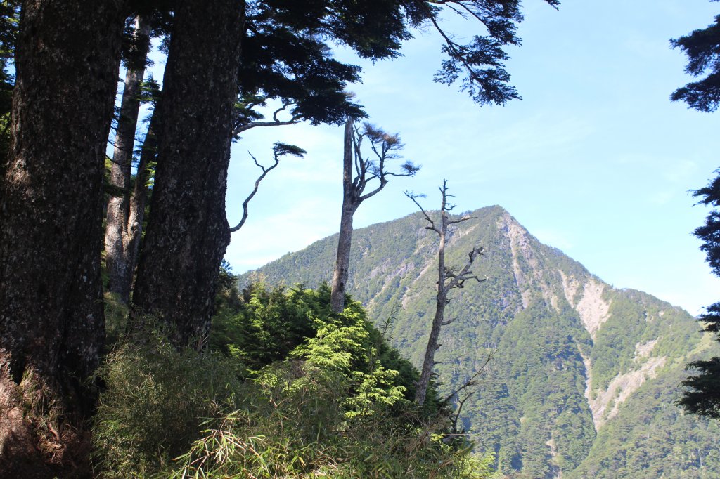 20220620高雄塔關山_1743034