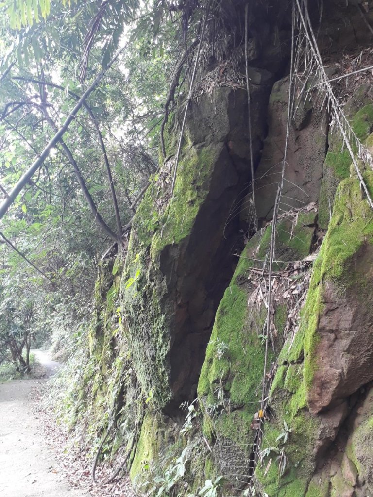 台中大坑步道7上8下20190825_658192