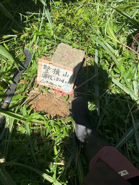 2025-08-30 豎旗山西北稜上-豎旗山-烏山古道西段下封面圖