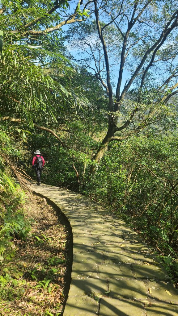 2025-0130溪和宮-大崎頭步道-鵝尾山-平溪步道-鵝尾山水田-42巷-溪山百年古圳-平菁步道_2701845