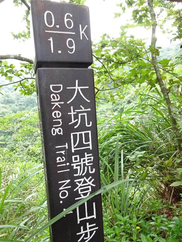 為雪山東峰特訓--大坑步道452_438148