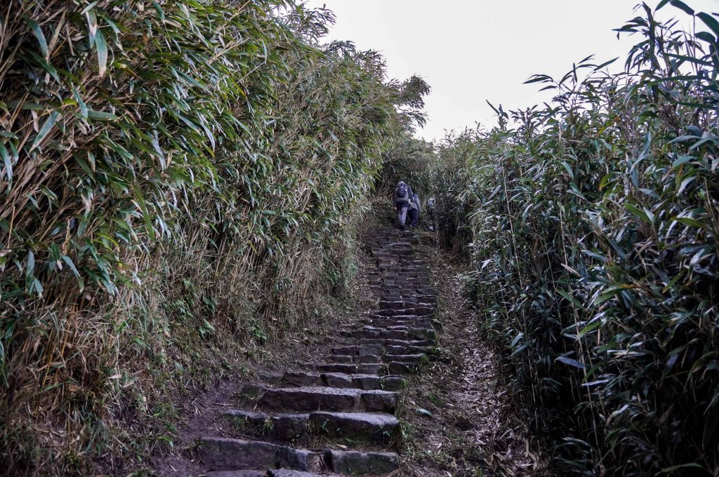 小油坑上七星山_2979205