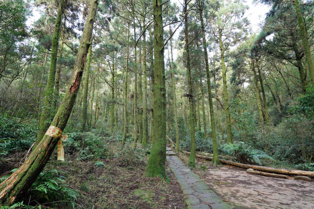 臺北 士林 香對山、頂山、杏林山、北五指山、高頂山、北頂山、馬蕃山、頂山溪山、五指山_2703244