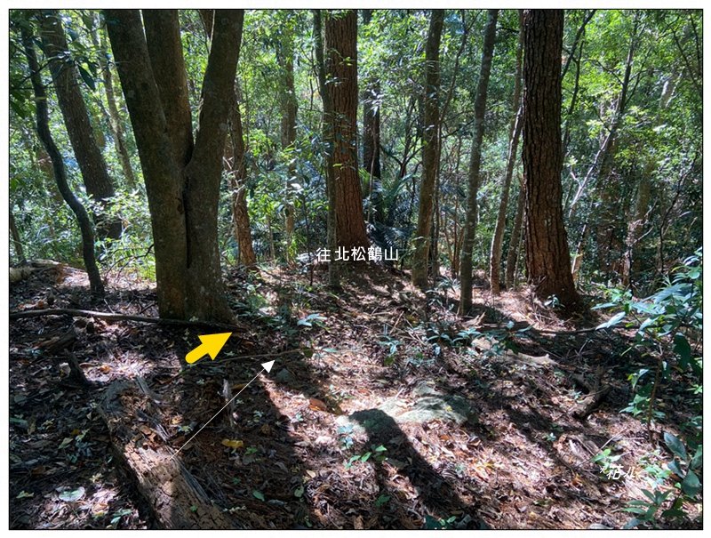 北松鶴山、德芙蘭步道 (台中 和平)_2922147