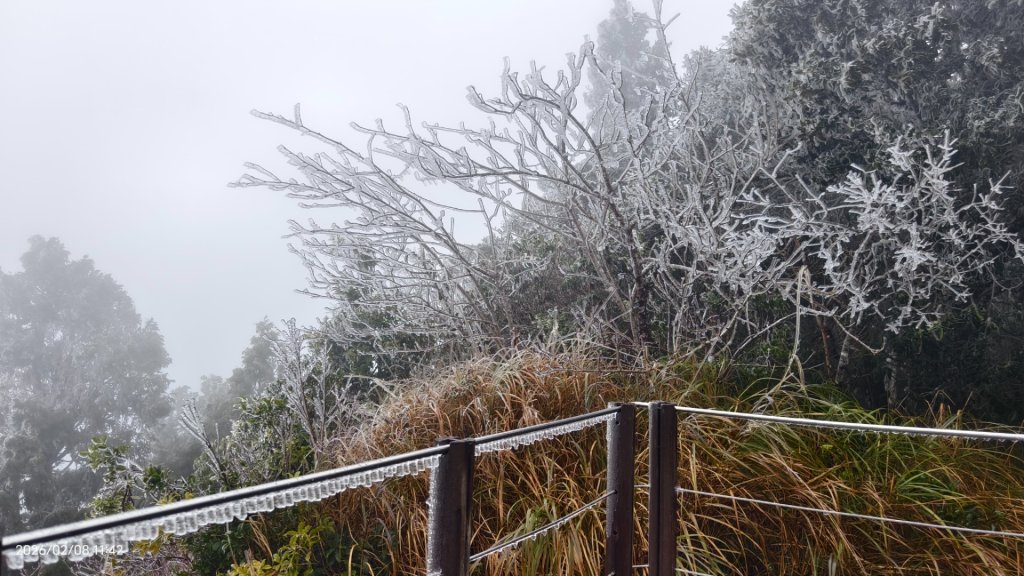 #霧淞 #雲海 #雲瀑 #霧虹 #太平山 #望洋山 #觀雲步道 #翠峰道路  2/8_2995328