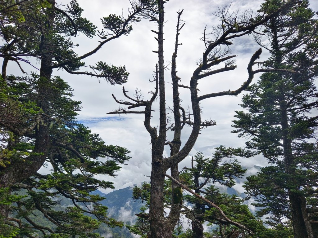 兩颱風之間空擋登屏風山巧遇保育類動物+出大景_2237872