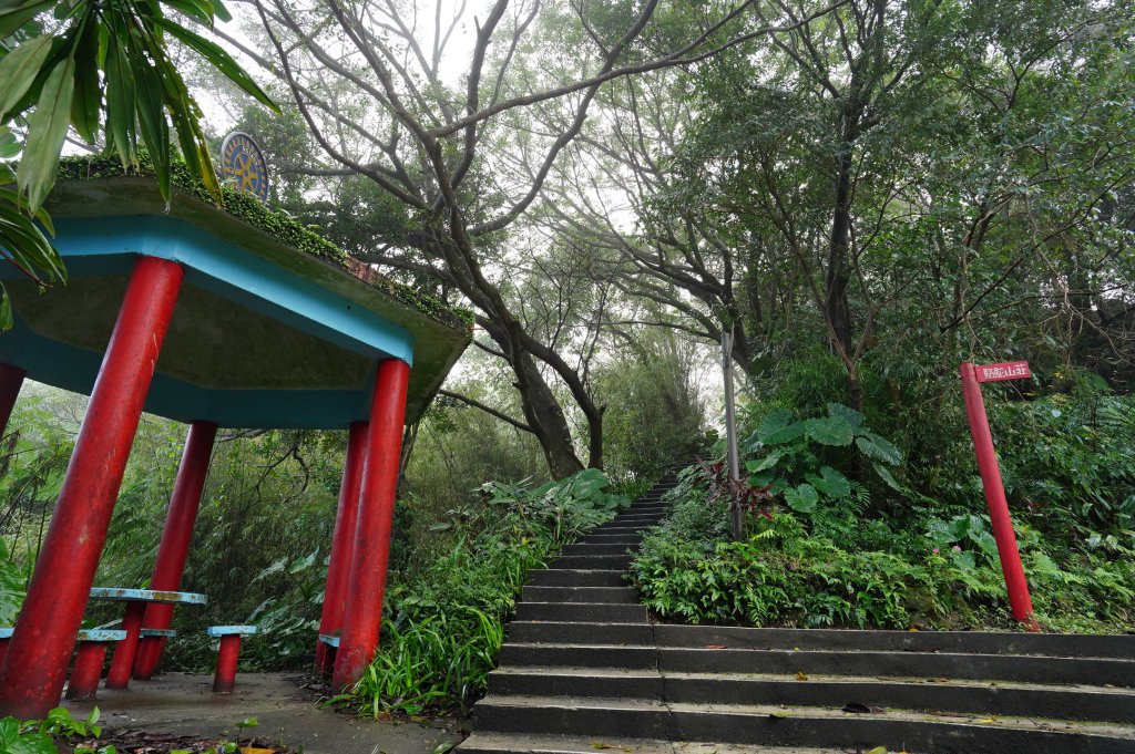 基隆 仁愛 紅淡山、金交椅山_2714977