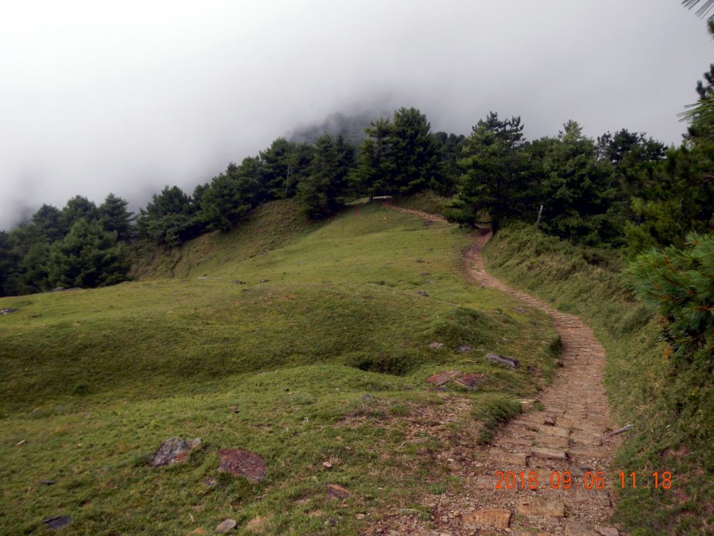 20180906鹿林麟趾山_404469