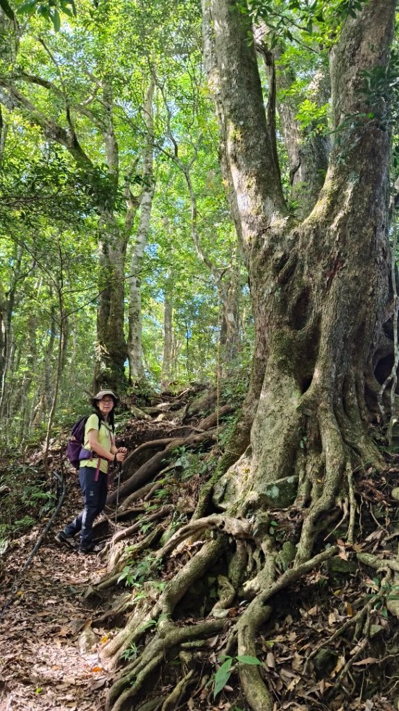 大混李棟山_2816327