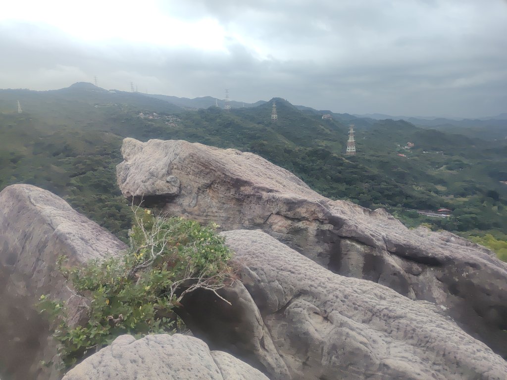 金面山親山步道_2664152