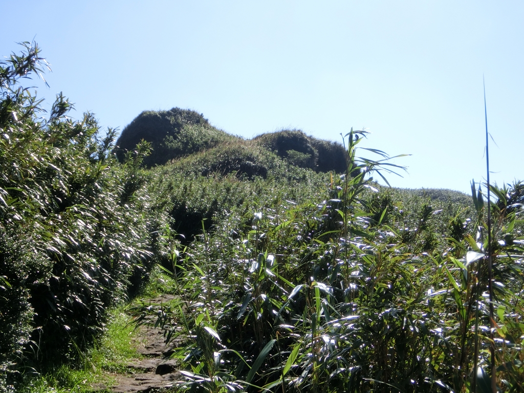 小油坑．七星山主峰．東峰．夢幻湖_94999