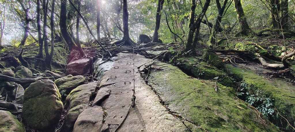 2025/04/04_加里山登山步道_2755035
