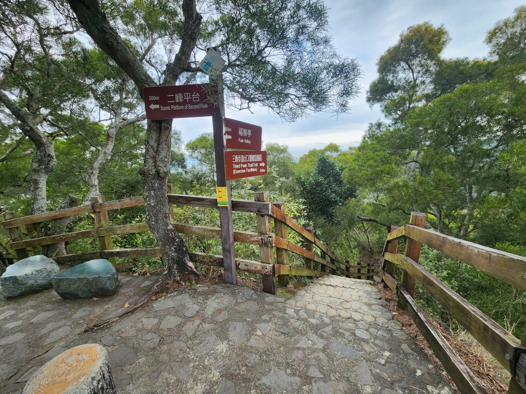 20250223田中大小劍與橫山_2939866