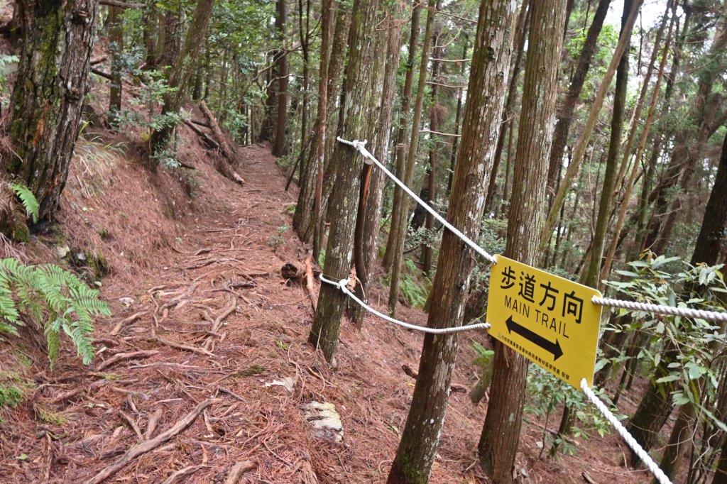 谷關七雄-馬崙山1st_2888305