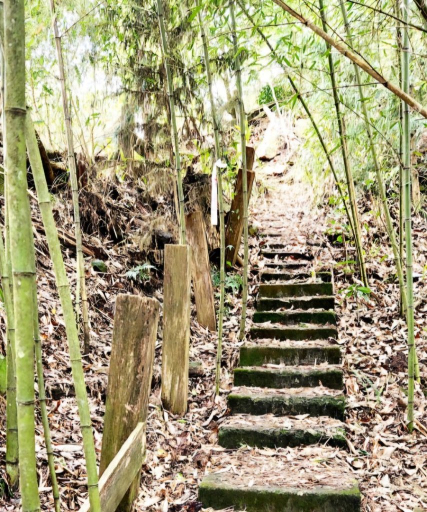 【中級山縱走】水雲三星，橫龍山，騰龍山，橫龍古道_2742948