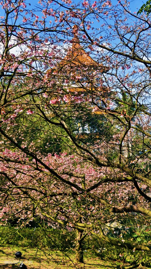 天元宮了嗎？2/3&10&14_2992654