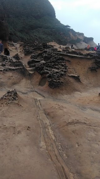 2018 2/16 野柳_874063