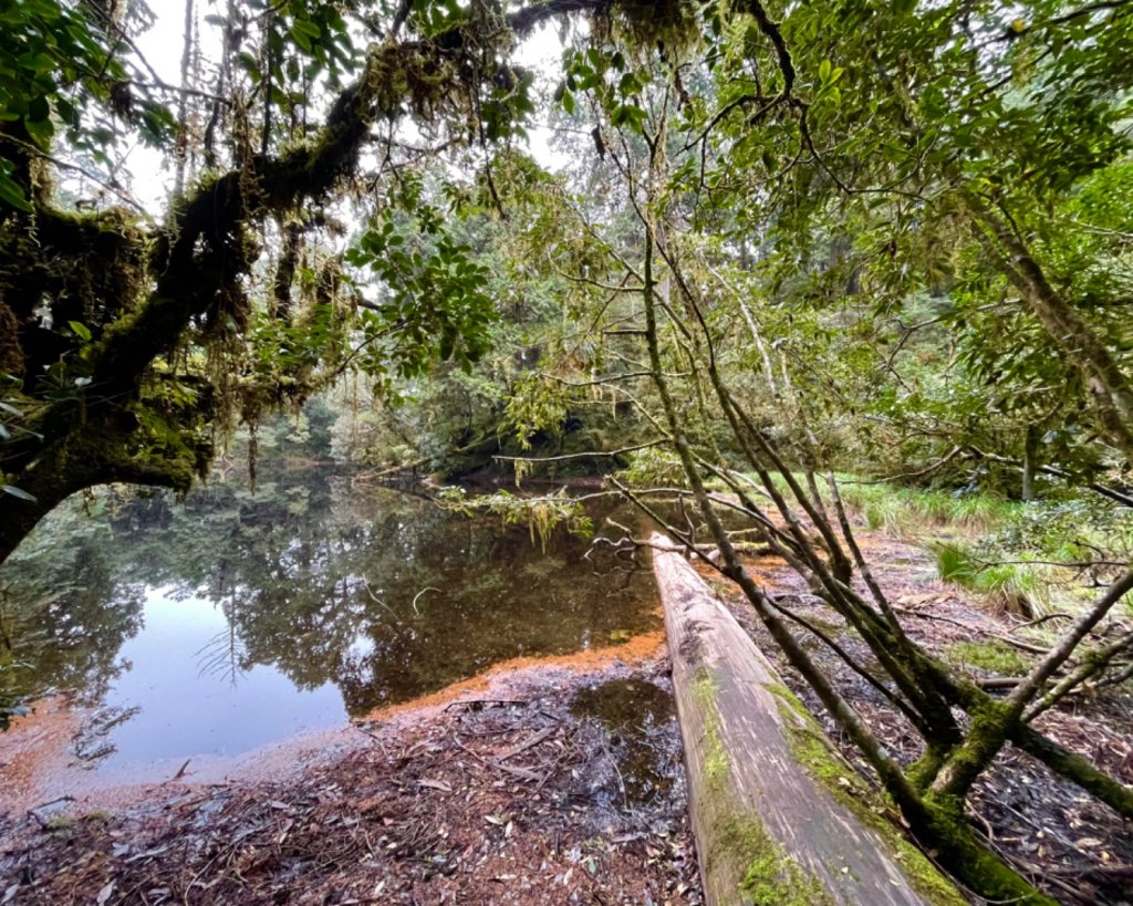 塔魔巴2天1夜來回_2357212