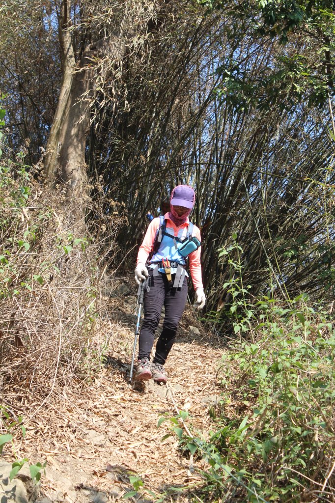 20230429高雄月茶縱走_2138481