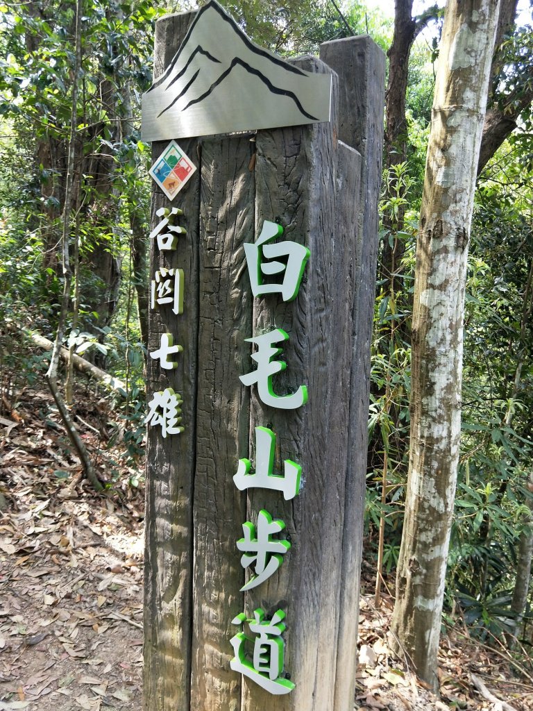 步道巡訪員 l 白毛山步道4月巡訪日誌_926692