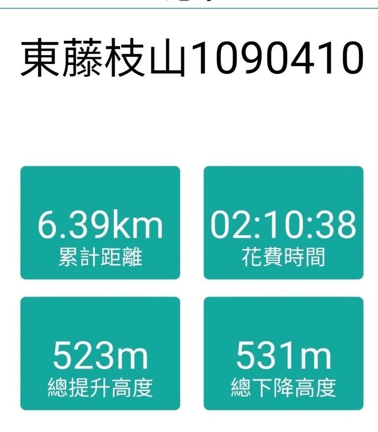 【高雄市桃源區】東藤枝山_917800