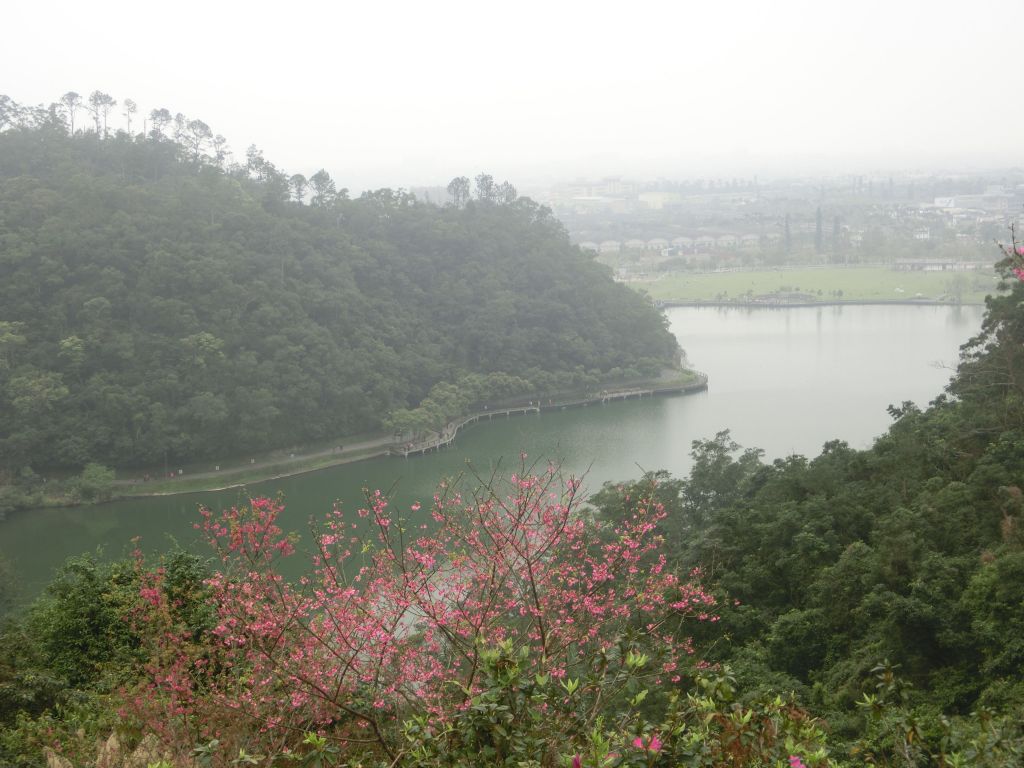 望龍埤．龍潭湖_284549