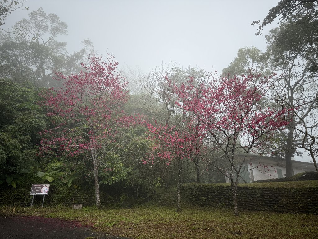 佐倉步道_2704772