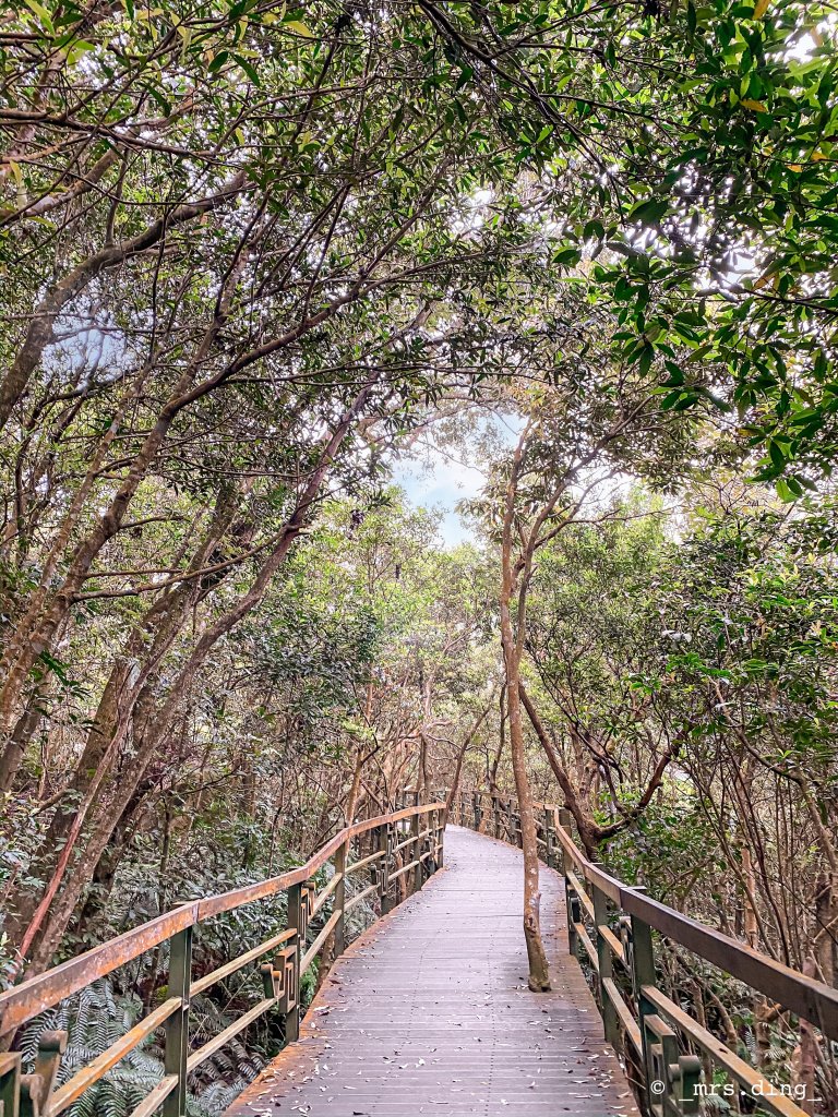 ＜小百岳＞台北市．大崙頭山_904328