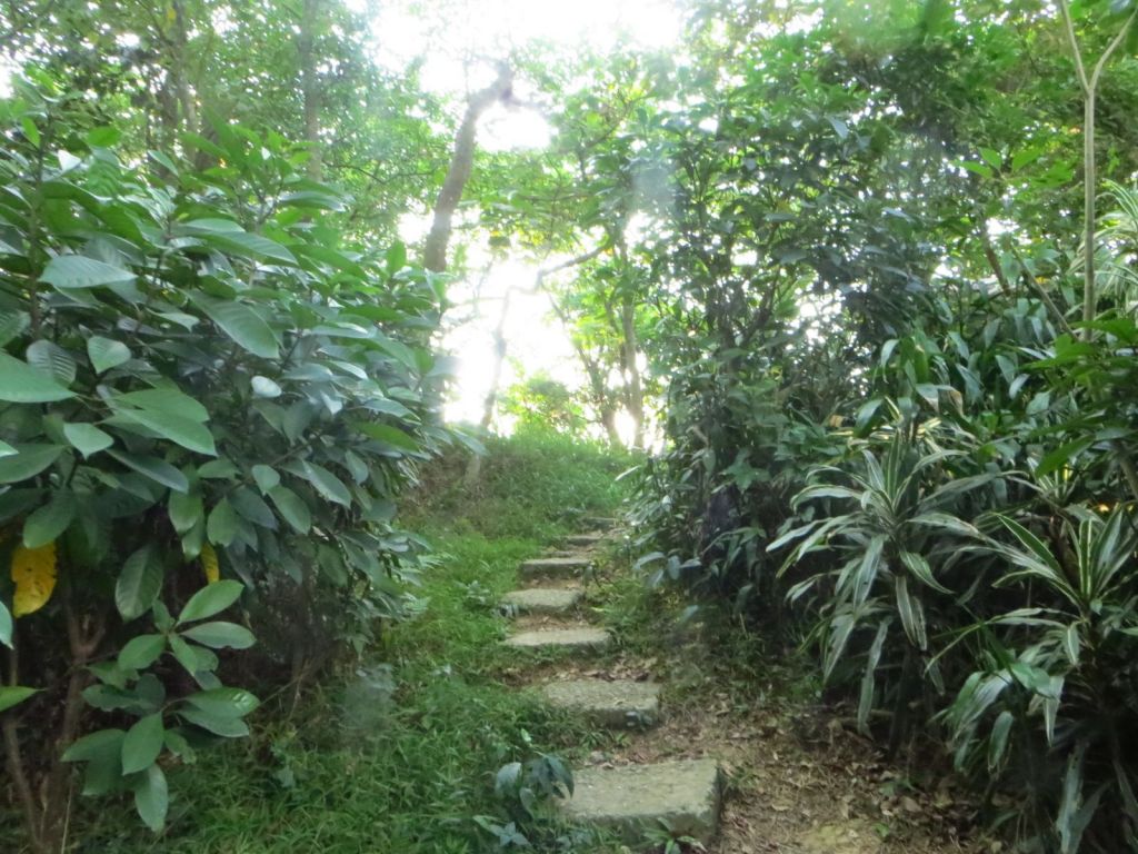 圓山劍潭山_文間山_東吳大學環山步道_407727