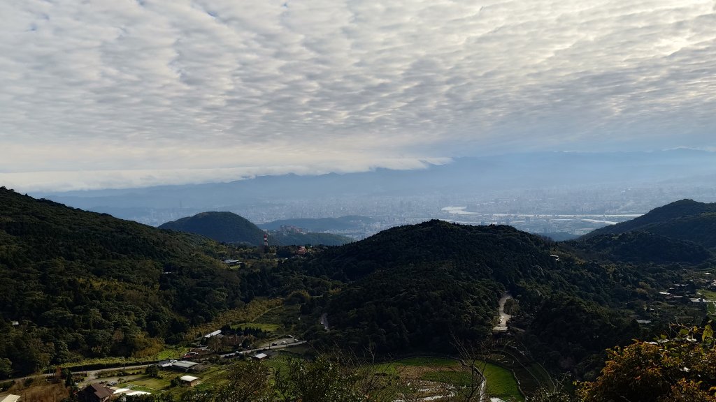 20260125 陽明山前後山健行(無極天元宮~山仔頂步道.向天池.向天山.面天山.二子坪)_2998079