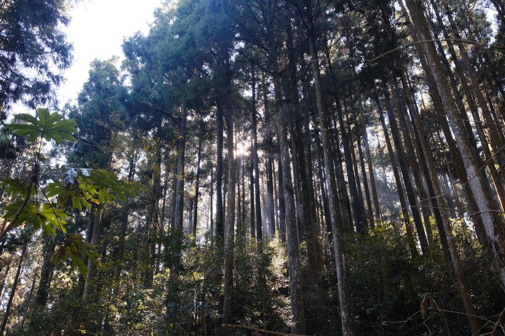 鵝公髻山_2712829