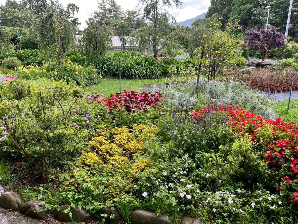 新竹 五峰 雪霸休閒農場 野馬瞰山步道_2811500