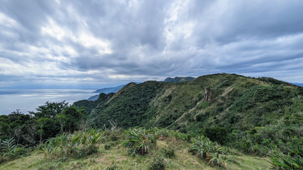 龜媽坑古道,雪山尾稜南段,草嶺古道_2354683