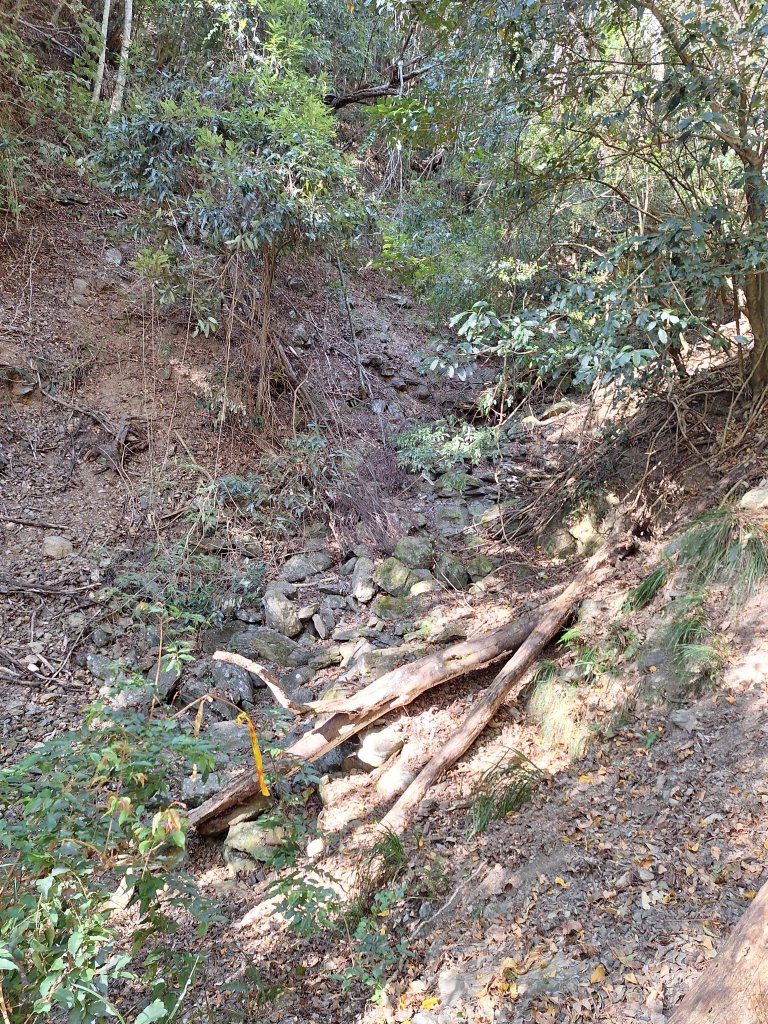 雪見駐在所+雪見山20251225_2971674