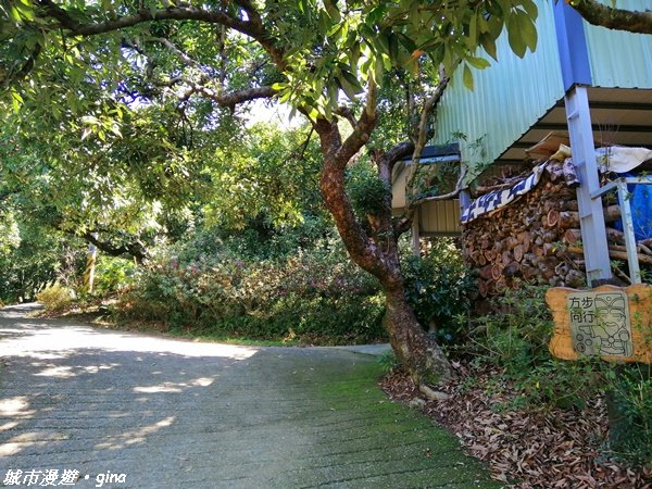 跟著土地公指標趣味走~大里金螢寶山貴妃道_1299074