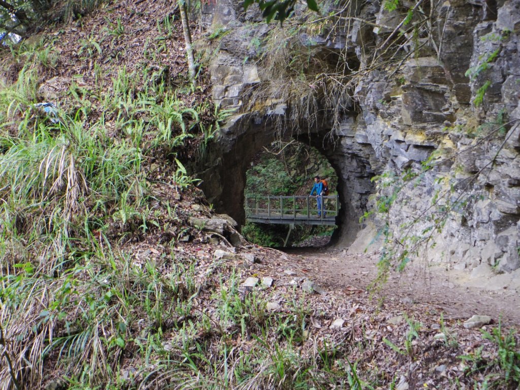 追憶 錐麓古道_2481982