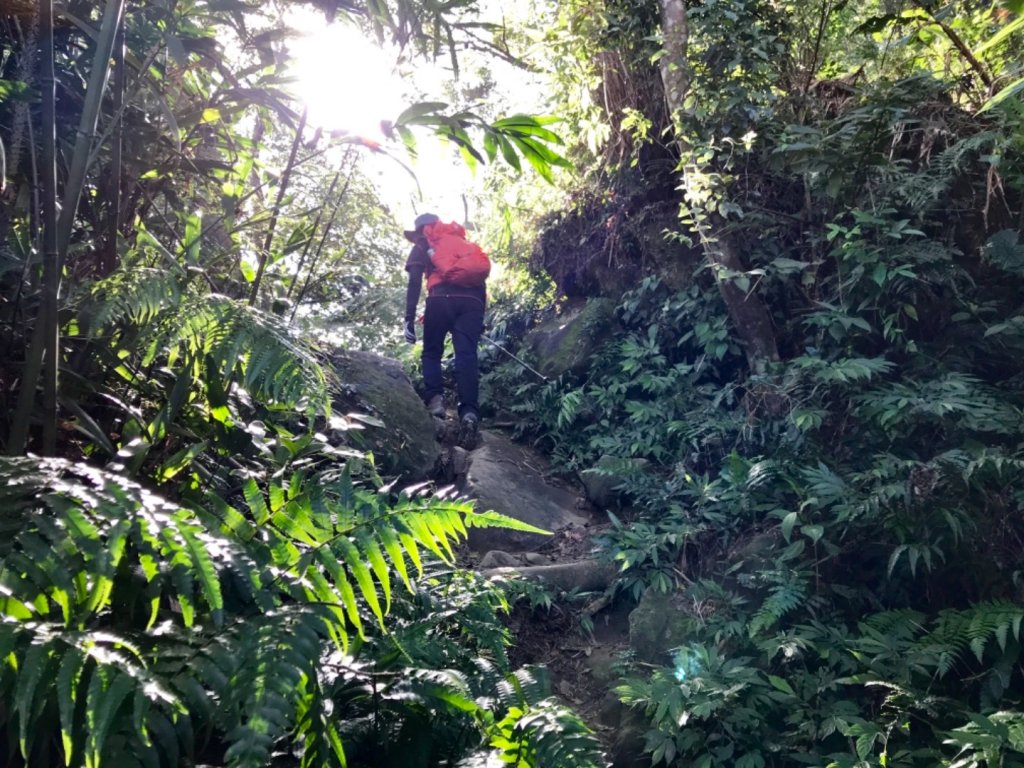 五寮尖上大風狂_448907