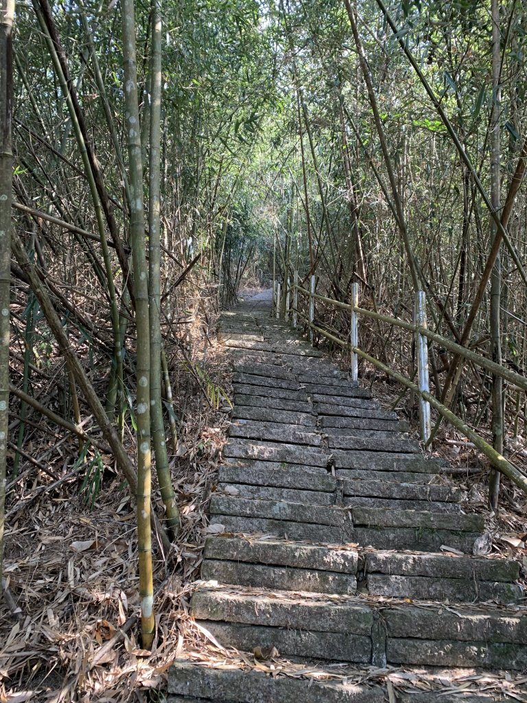 20240224嘉義半天岩山-尖凍山_2439677