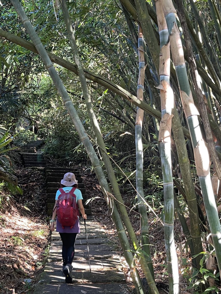 草嶺古道-大溪線-桃源谷-虎字碑-草嶺古道-福隆 20240909_2591647